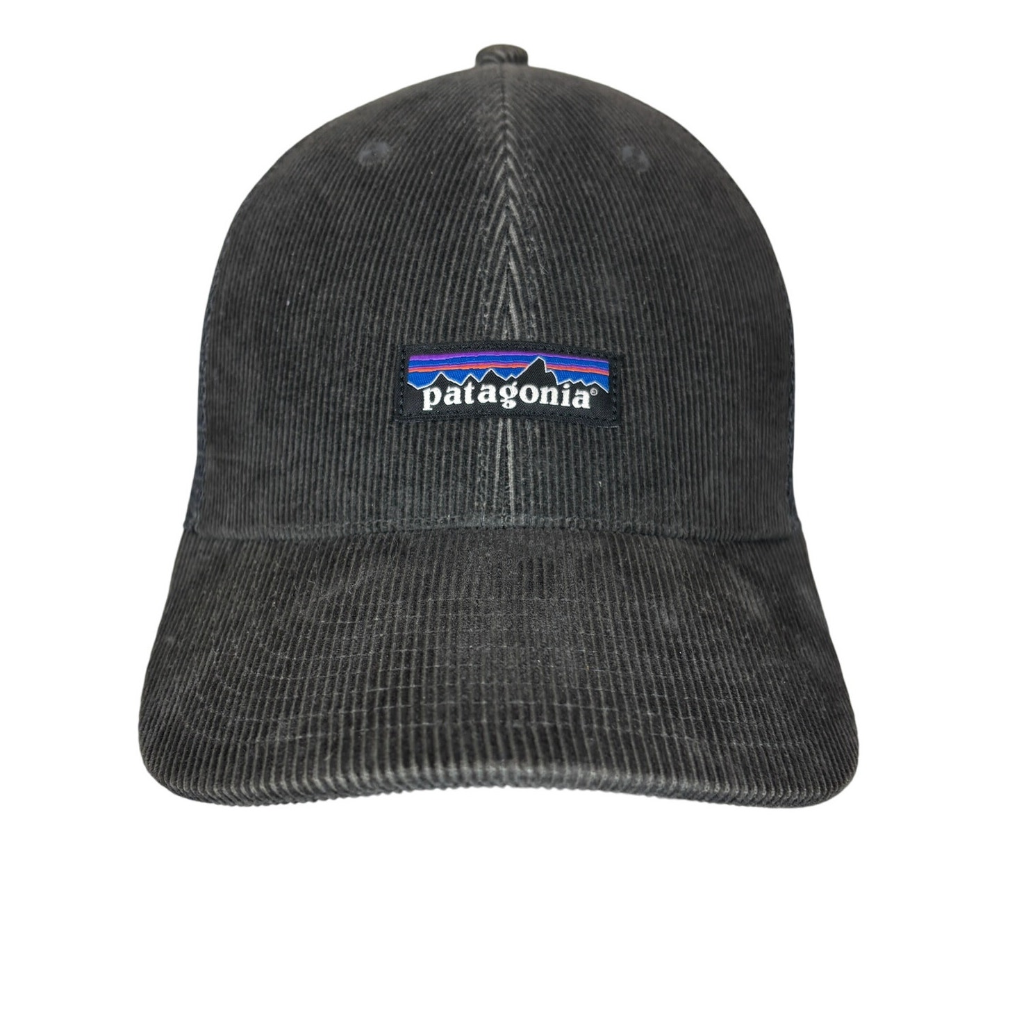 Patagonia P-6 Logo Lopro Corduroy Trucker Hat Snapback Gorpcore